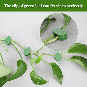 Plant Climbing Wall Clips, Set Of 10 Plant Fixing Hooks, Vine Buckle Hook Fastener, Wall Fixer Leaf Shaped Clips